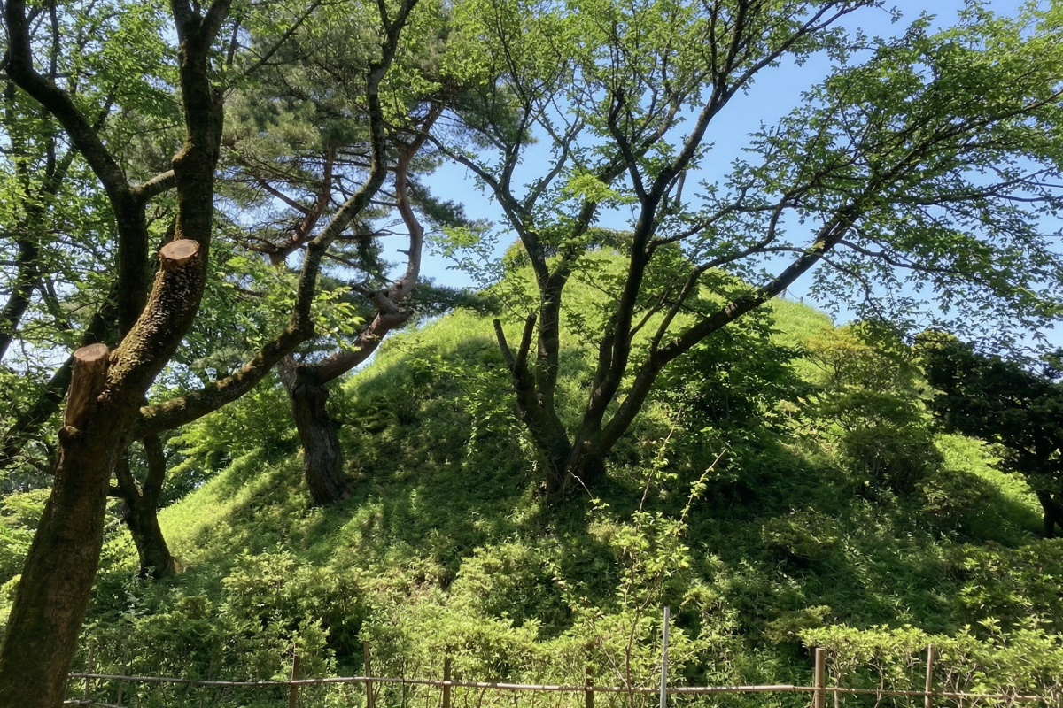 荒幡富士の写真差し替え用プレースホルダー