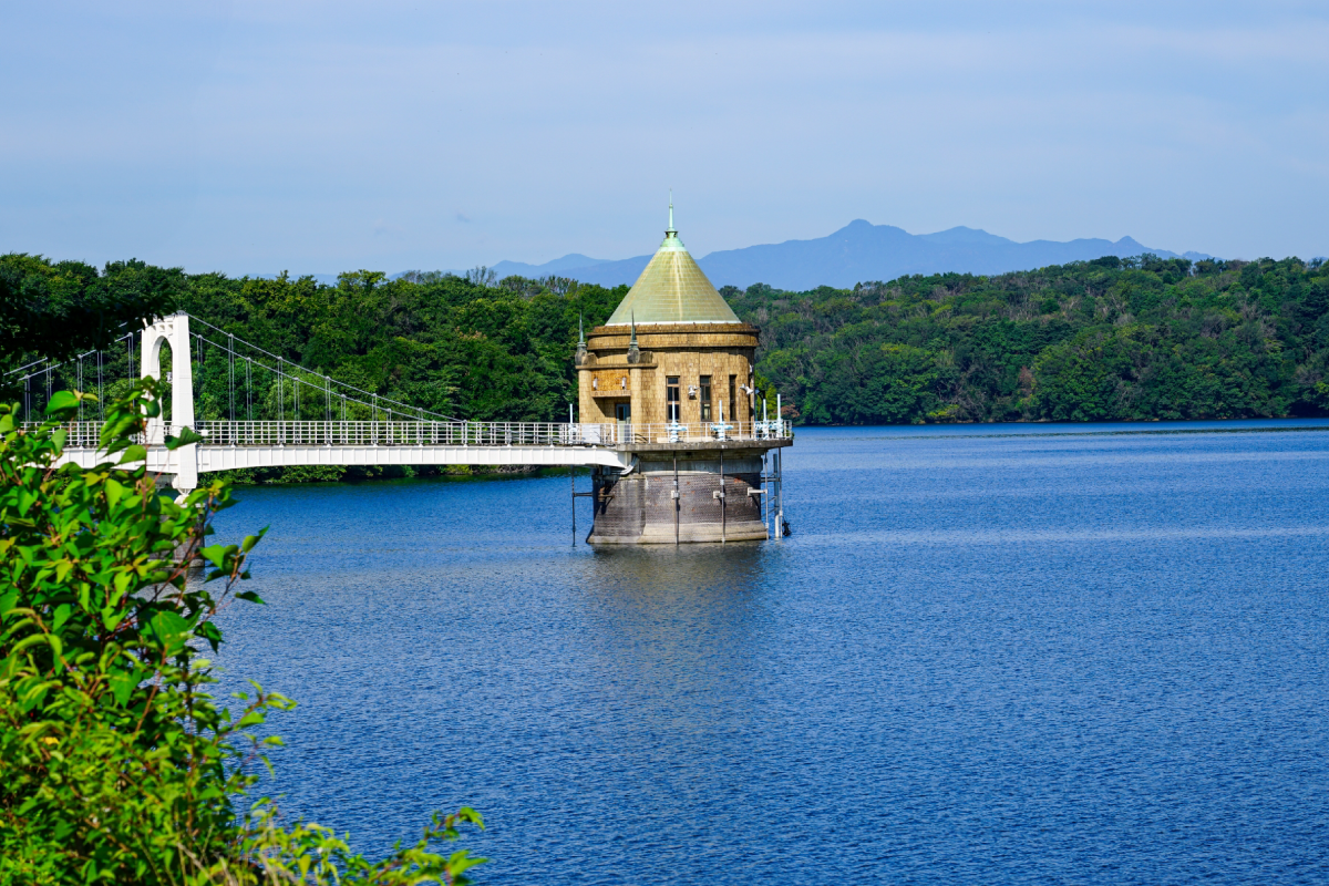 狭山丘陵いきものふれあいの里センターの写真差し替え用プレースホルダー